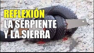 Reflexión La Serpiente y la Sierra