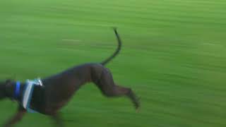 22739938 179747842576543 7896951020473810944 n