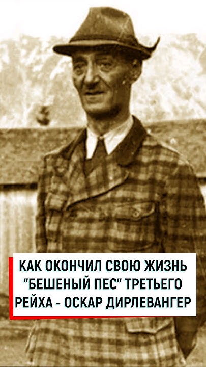 Как окончил свою жизнь "Бешеный Пёс" Гитлера Дирлевангер #вов #история ...