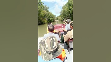 Du thuyền ca nô đường thủy vào Căn cứ rừng Sác - Cần Giờ.