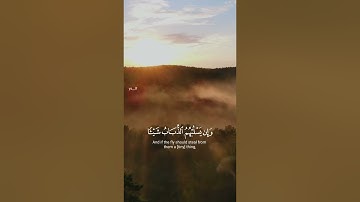 الشيخ بدر بن محمد التركي || قراءة بديعة آخر سورة الحج
