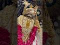 Baba Shyam hamara#shyamjibhakti #shyam #khatushyambhajan #shortsviral #shortsfeed #subscribe