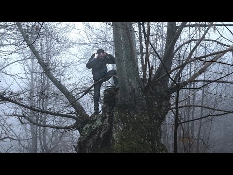 Vasco Brondi - CHITARRA NERA (con Elio Germano, regia di Daniele Vicari)