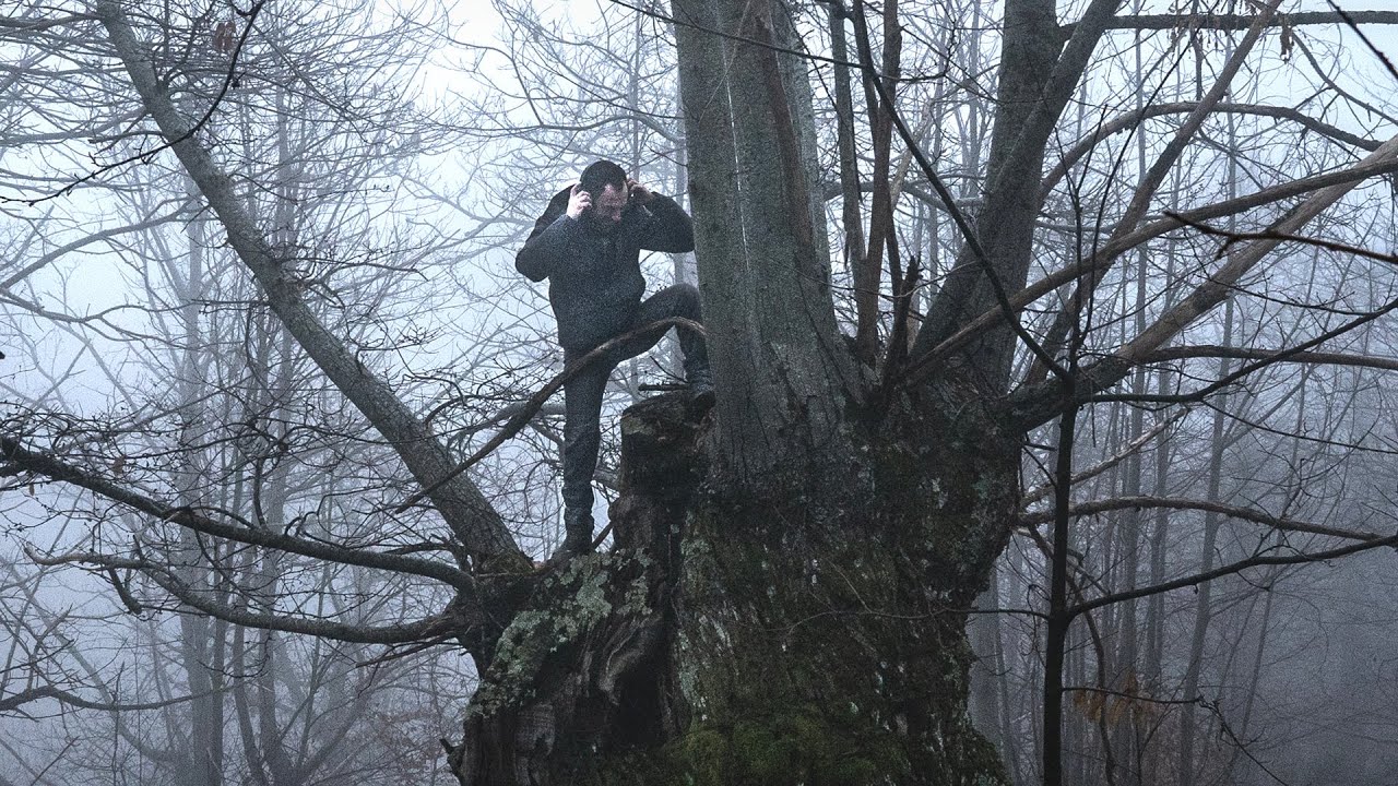 Vasco Brondi - CHITARRA NERA (con Elio Germano, regia di Daniele Vicari)
