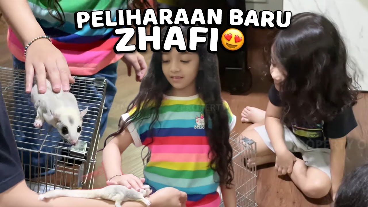 ZHAFI PUNYA PELIHARAAN BARU!! KECIL BANGET 