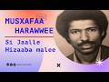 New Oromo Music 2026 Musxafaa Harawwee Si Jaalle Hizaaba Malee Bifa Bareedaan Hojjatame Oromomusic 