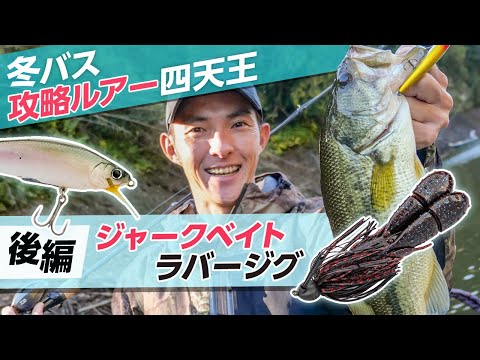 釣りビジョン -Fishing Vision Japan- - YouTube