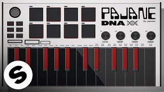 PAJANE - DNA (Official Audio)