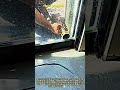 どんなに優れた工具でも強化ガラスは耐えられません #worker #process #heavy-duty #sharp #instant