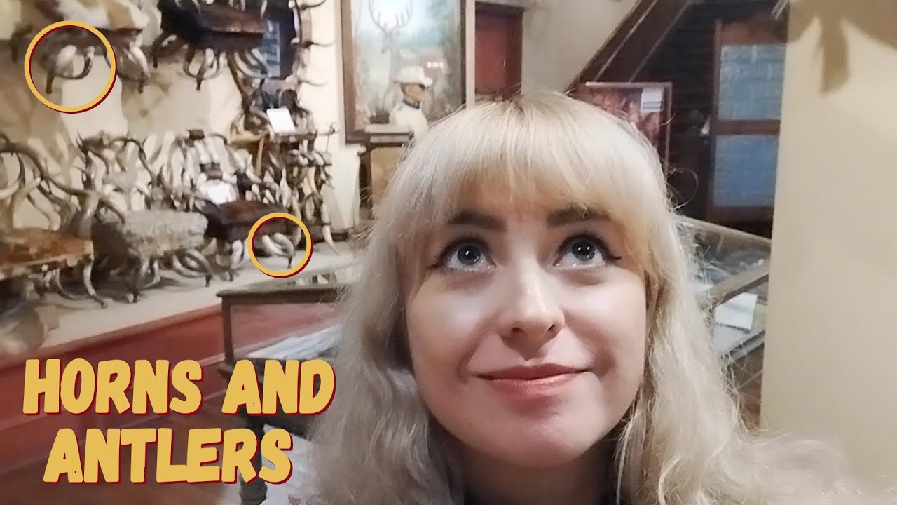 History & Oddities: The Buckhorn Museum I Phone Files San Antonio