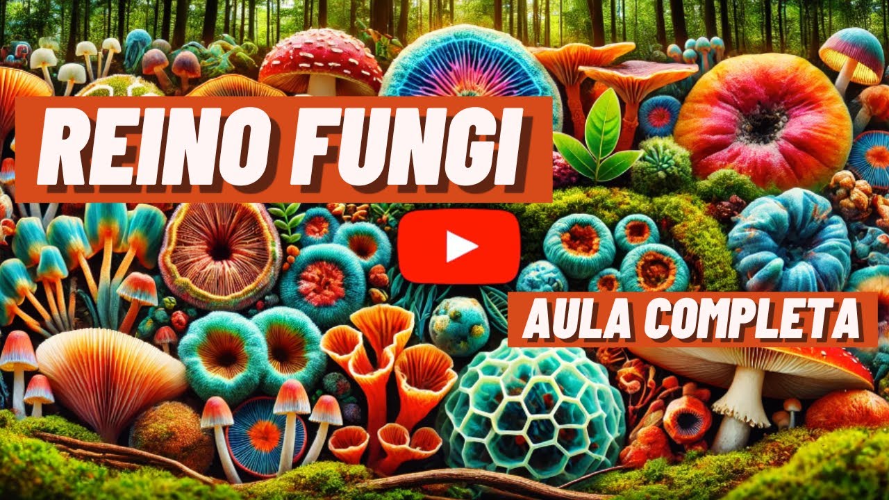 REINO FUNGI - BIOLOGIA | ANIMAÇÃO