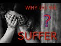 The Truth About Why You Suffer - Swami Sarvapriyananda #vedanta #spirituality #truth