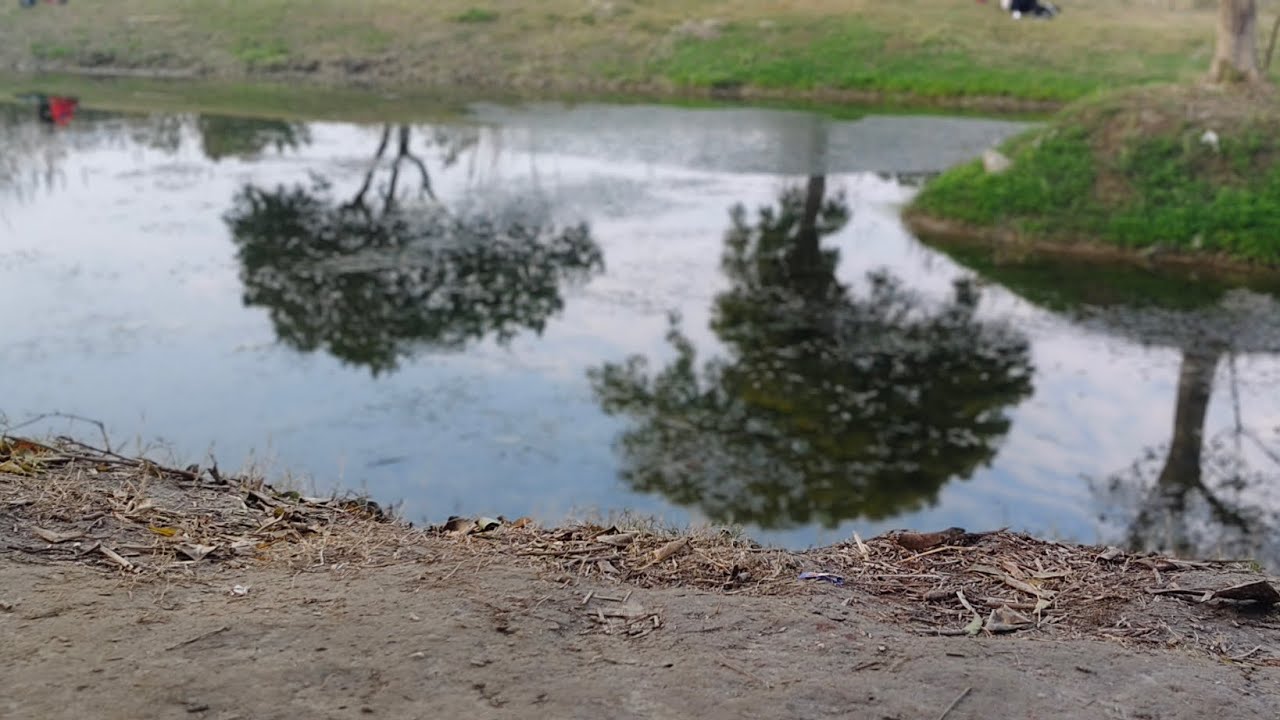 Baansera Park Sarai Kale Khan #trending #baanserapark #saraikalekhan #delhicitytour #reels #vlog 