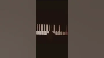 موسيقى غريبة الناس وائل جسار 