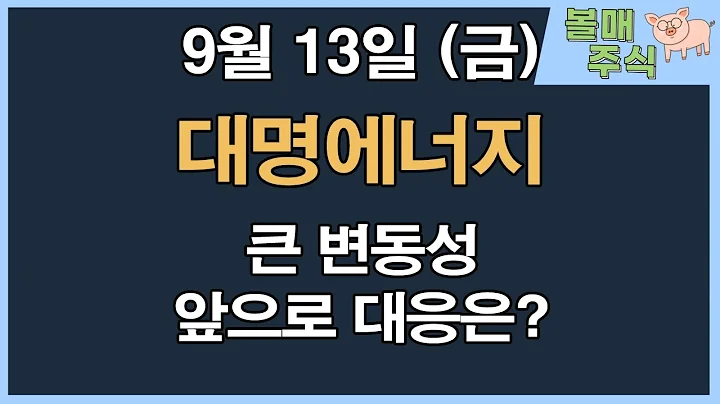 [대명에너지] 큰 변동성.. 앞으로 대응은??