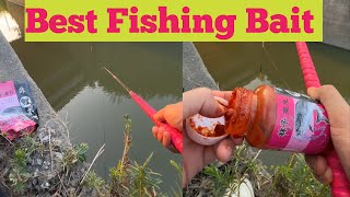 Best Carp Bait Choices: A Beginner's Guide। Carp Fish Baits। @villageLife_Fishing