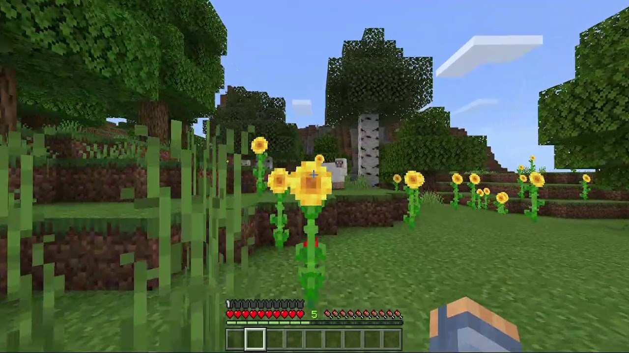 MINECRAFT CAP 3 YouTube