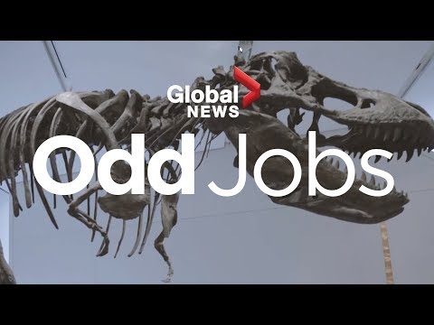 Odd Jobs: Dinosaur sculptor