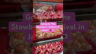 I Went to The Strawberry Festival in Japan 🇯🇵🍓✨ #japan #japanlife #kawaii #strawberry Wealth