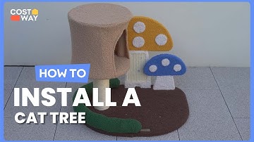 How to Install the 4-In-1 Cat Tree with Condo and Platform | PV10123 #costway #howto