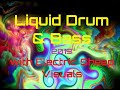 Liquid Drum and Bass Spring 2019 Mix #88 with Electric Sheep visuals
