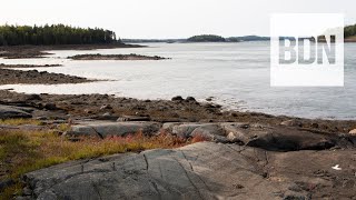 A sneak peek at Cobscook Shores parklands in Down East, Maine