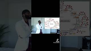Krebs cycle remix #biochemistry #biochem Krebs cycle remix #biochemistry #biochem