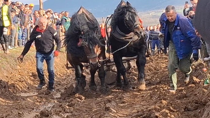 Jinsiy stajyor bemor