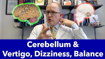 Cerebellum Malfunction Causes Vertigo, Dizziness, Balance Problems