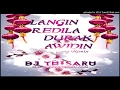 2017 Langin Randila Durak Awidin (Wassane Premaya Theme Song 2) Remix by DJ Thisaru X Mashes Deejays