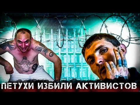 ПЕТУХИ ИЗБИЛИ АКТИВИСТОВ НА ЗОНЕ