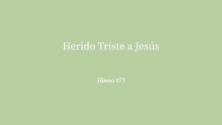 Video thumbnail of "1  Herido Triste a Jesús"
