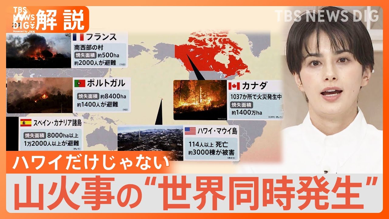 ハワイ・マウイ島だけじゃない 山火事の“世界同時発生” 背景に“気候