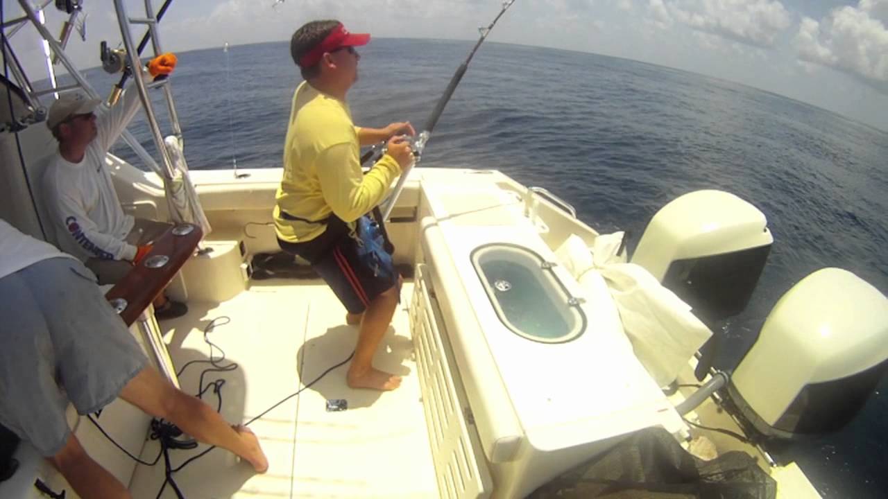 Chase This! 3 Blue Marlin and 3 Swordfish YouTube