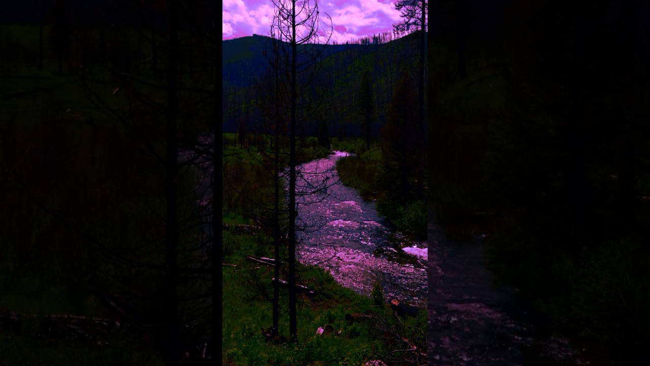 river flowing into a dream #travel #explore #film #shorts #nature #naturephotographer