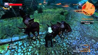 The Witcher 3 :bug hunt (4 ablette)