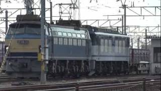 JR貨物 EF66-33 貨物列車(8865レ EF64-60無動回送付) 稲沢駅貨物線発車