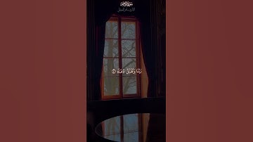 تلاوة تريح القلب من سورة إبراهيم بصوت الشيخ #ماهر_المعيقلي #quran