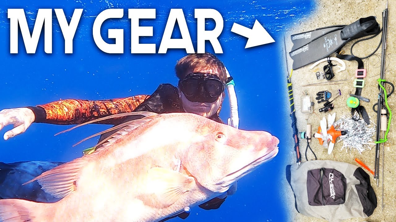 HUGE FISH LANDED! Advanced Spearfishing GEAR Run-Through! 