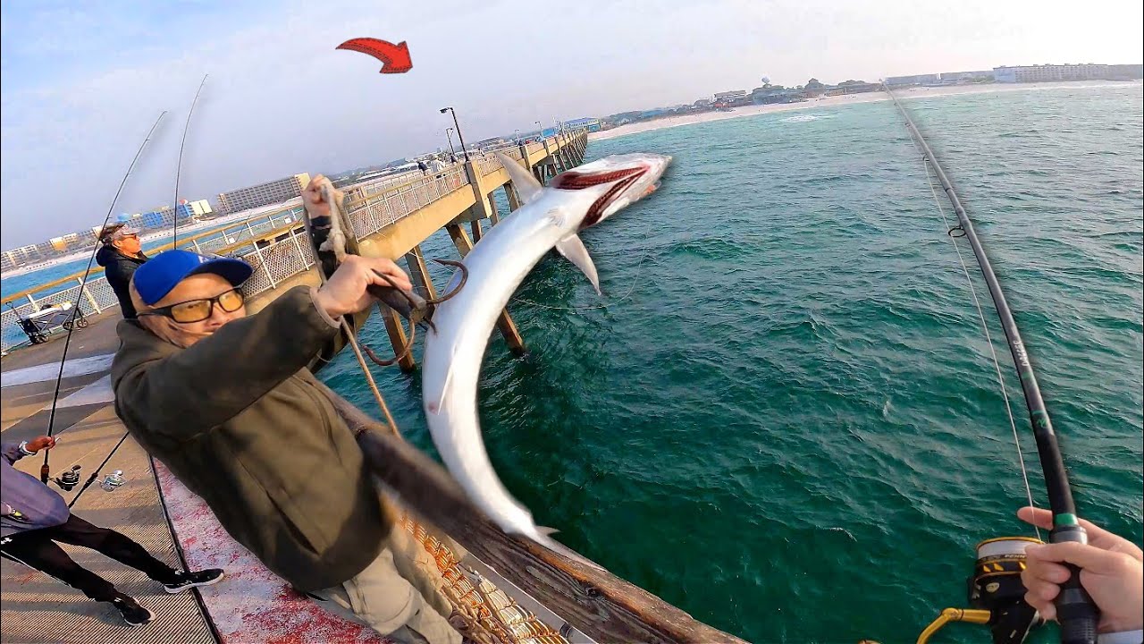 This Florida Fishing Pier was On FIRE! *Fish Everywhere*