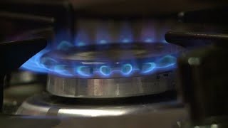 Flambée des prix du gaz : les Européens cherchent des solutions • FRANCE 24