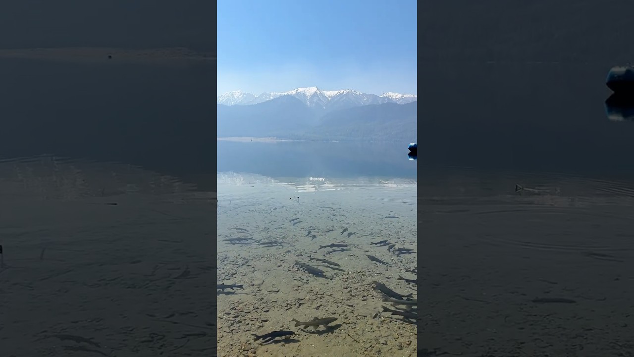 Nature Therapy ft. Rara Lake. 