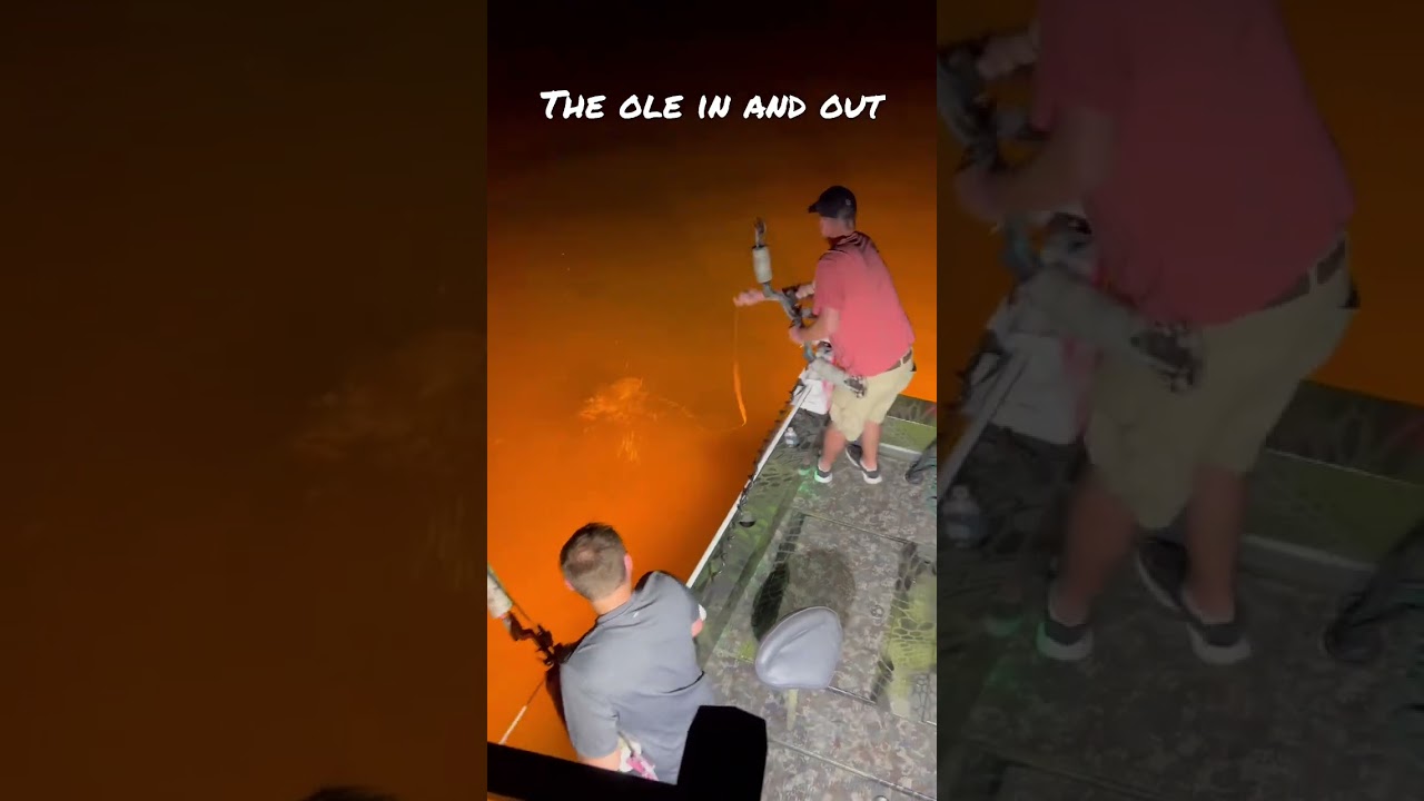 Dude Hit The Brakes! 