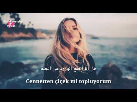 أغنية وردة من الجنة مترجمة للعربية   