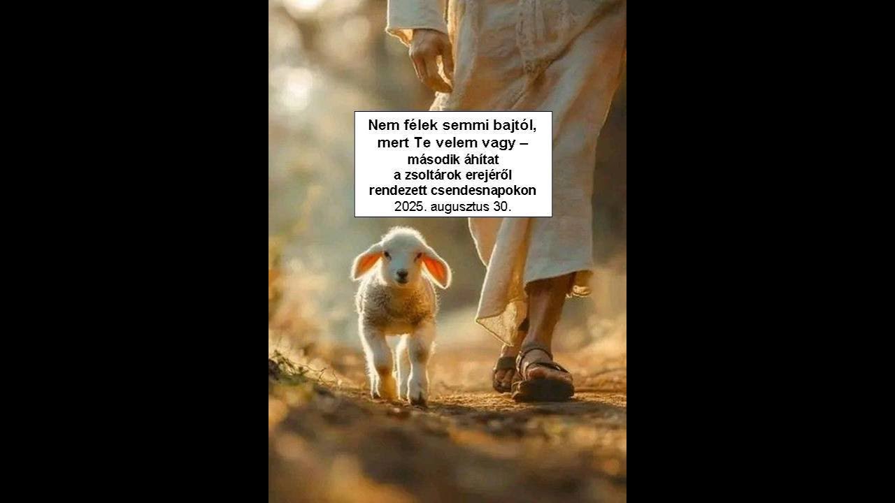 Nem félek semmi bajtól, mert Te velem vagy (áhítat a  23. zsoltárról a csendesnapon, 2025.08.30.)