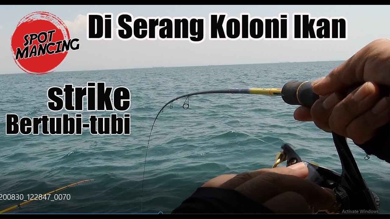 Sing Penting Mentiyung, Mancing Ikan Rucah Strike Gak Henti - Henti Bos | CeHa Angler