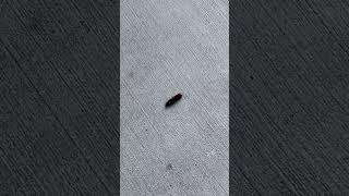IMG 3344