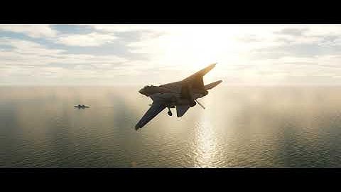 Digital Combat Simulator  F-14 Carrier Trap