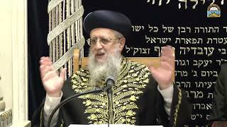נופש כהלכה I מרן הראשון לציון הגאון רבי דוד יוסף שליט＂א  אב תשפ"ו