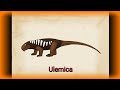 Palaeoperfil: Ulemica, Anomodontia.